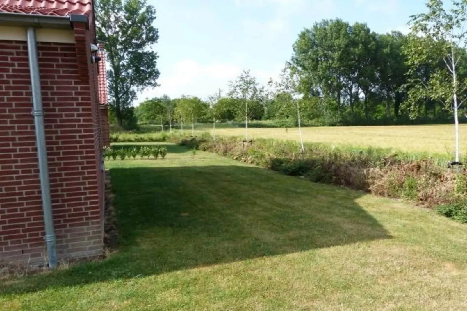 Landgoed de Lente 30 Tulp Breskens-Gardens summer