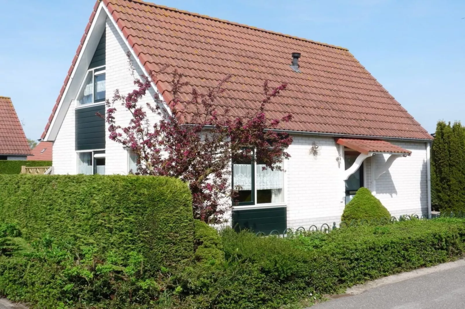 Schoneveld 246 Stern Breskens-Exterior summer
