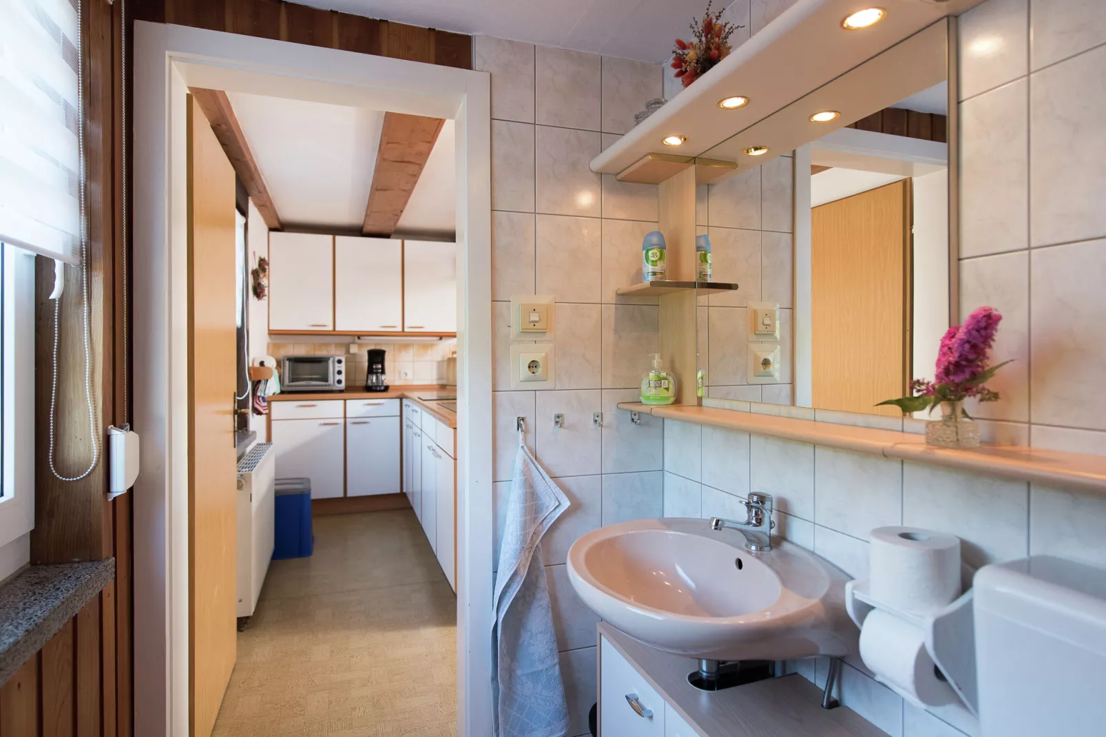 Rittersgrün-Bathroom