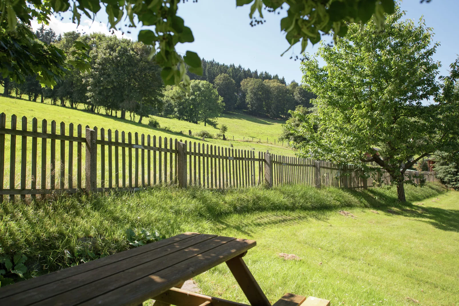 Rittersgrün-Gardens summer