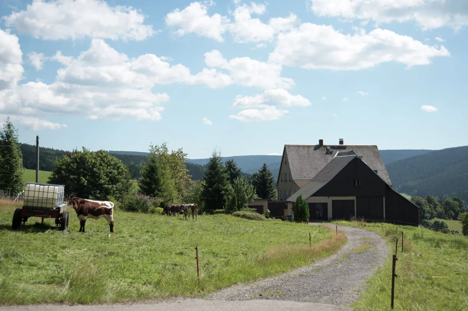 Rittersgrün-Areas summer 5km