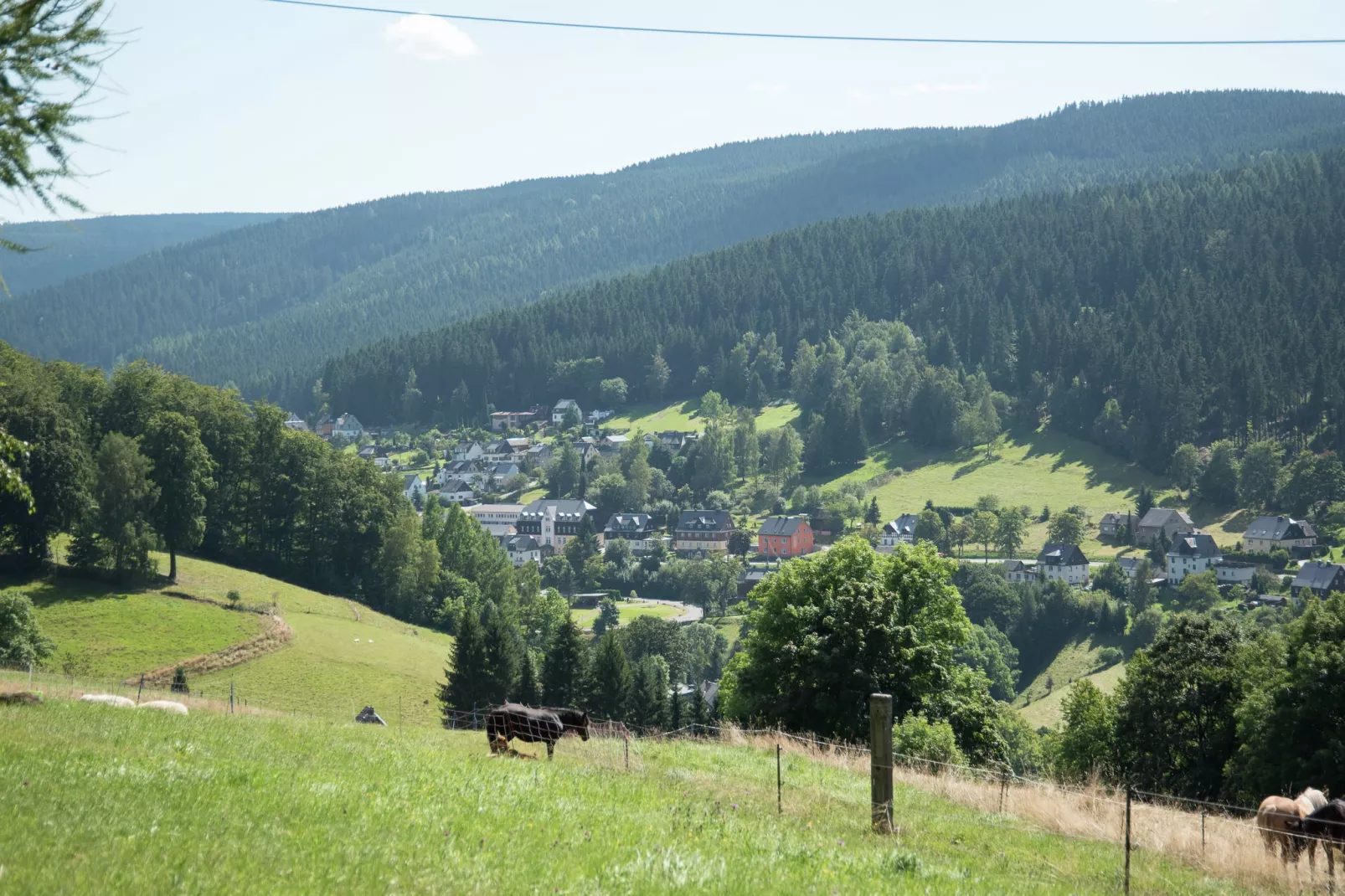 Rittersgrün-Areas summer 5km