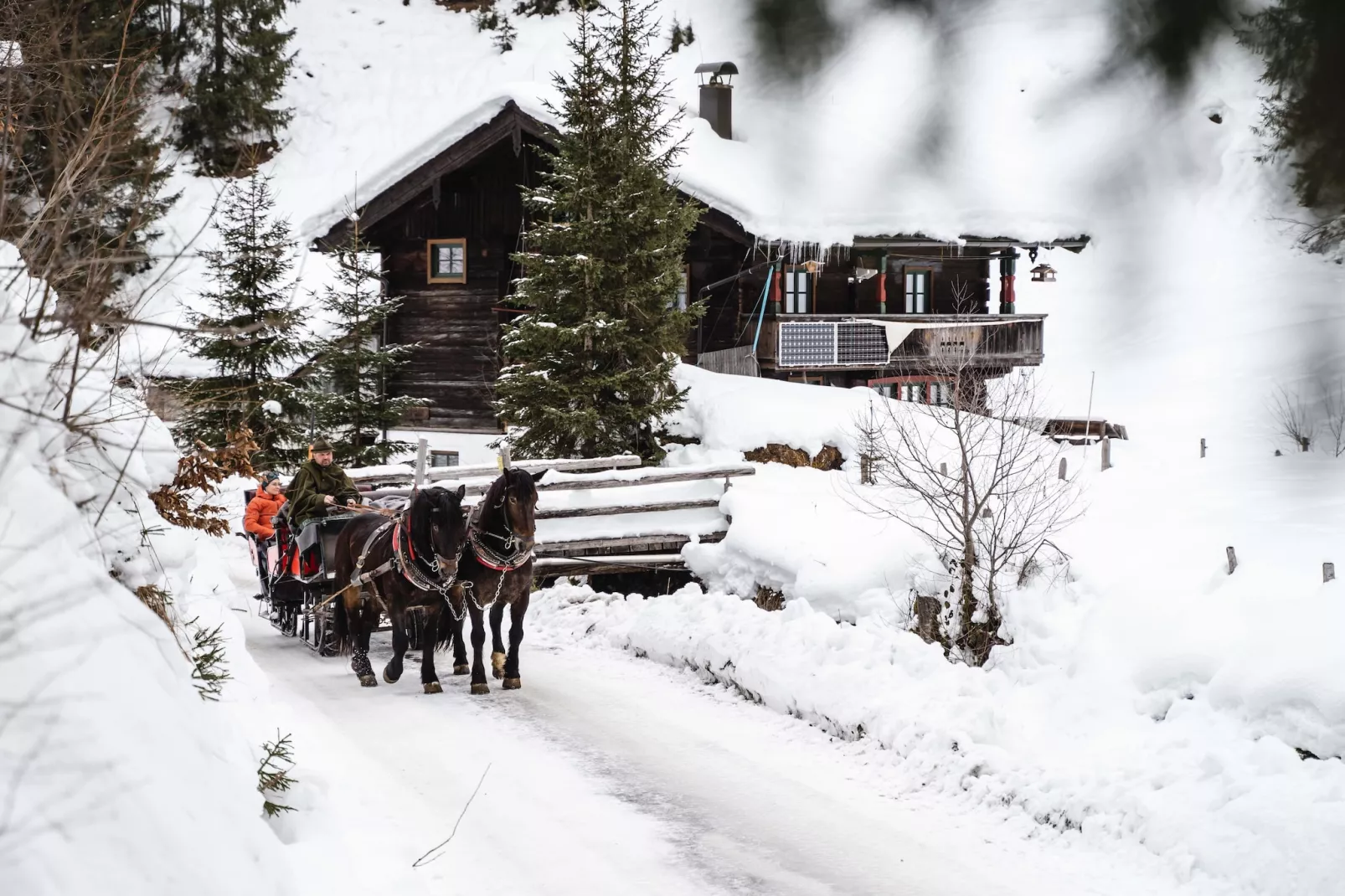 Appartement "Gams-Bartl"  1-2 Personen-Area winter 20km