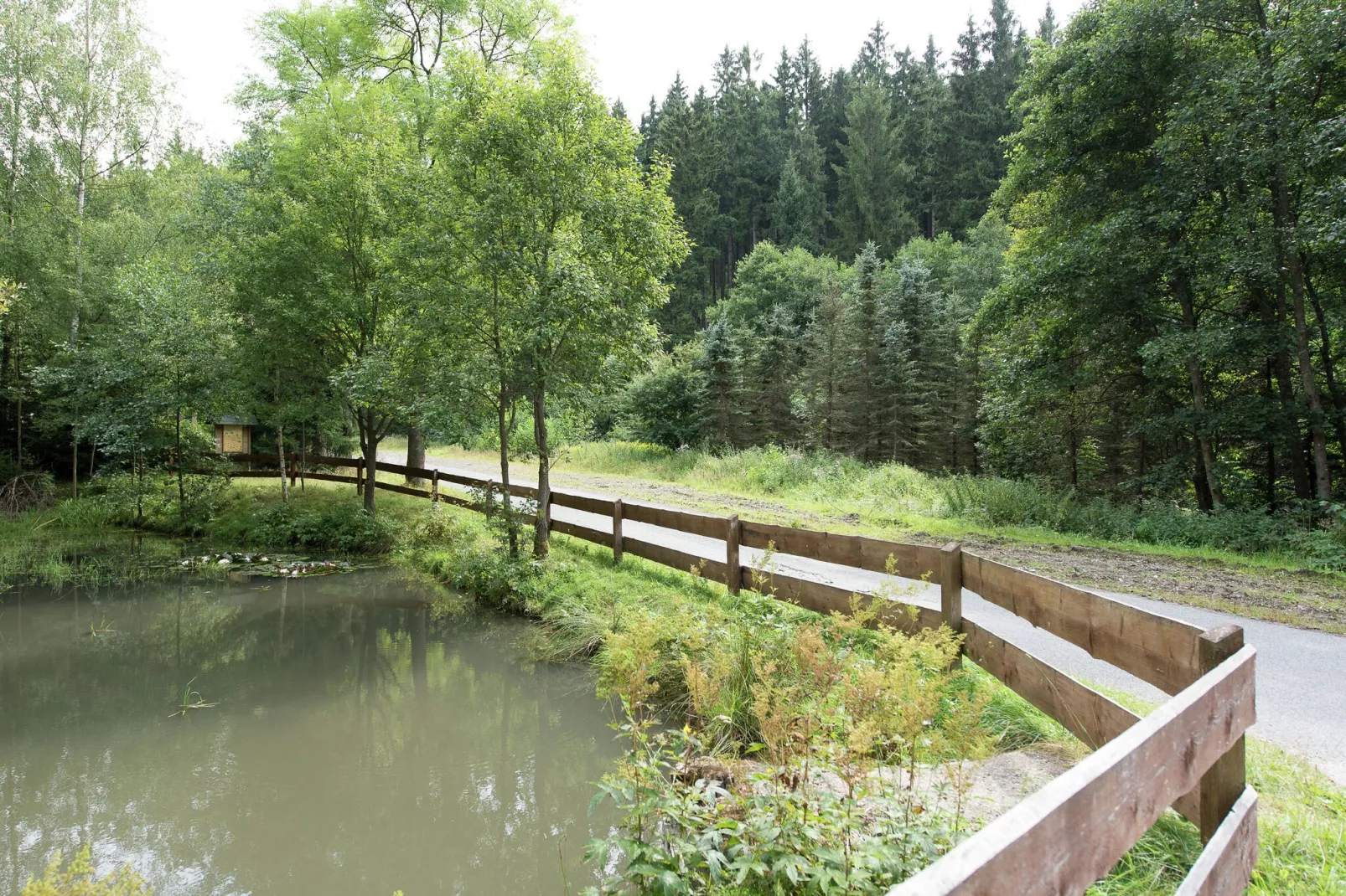 Im Erzgebirge-Gebiete Sommer 1 km