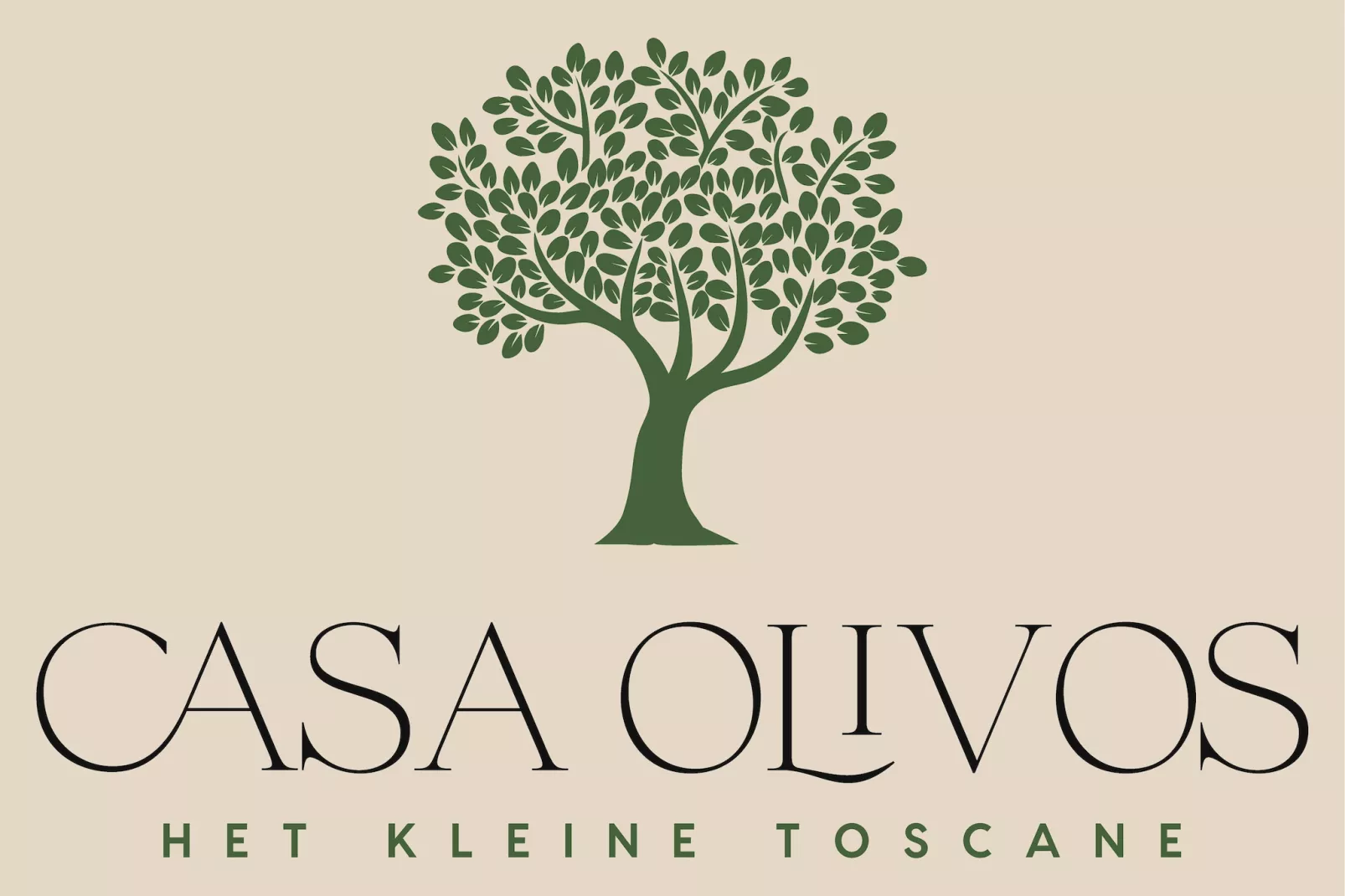 Casa Olivos-Atmosphere