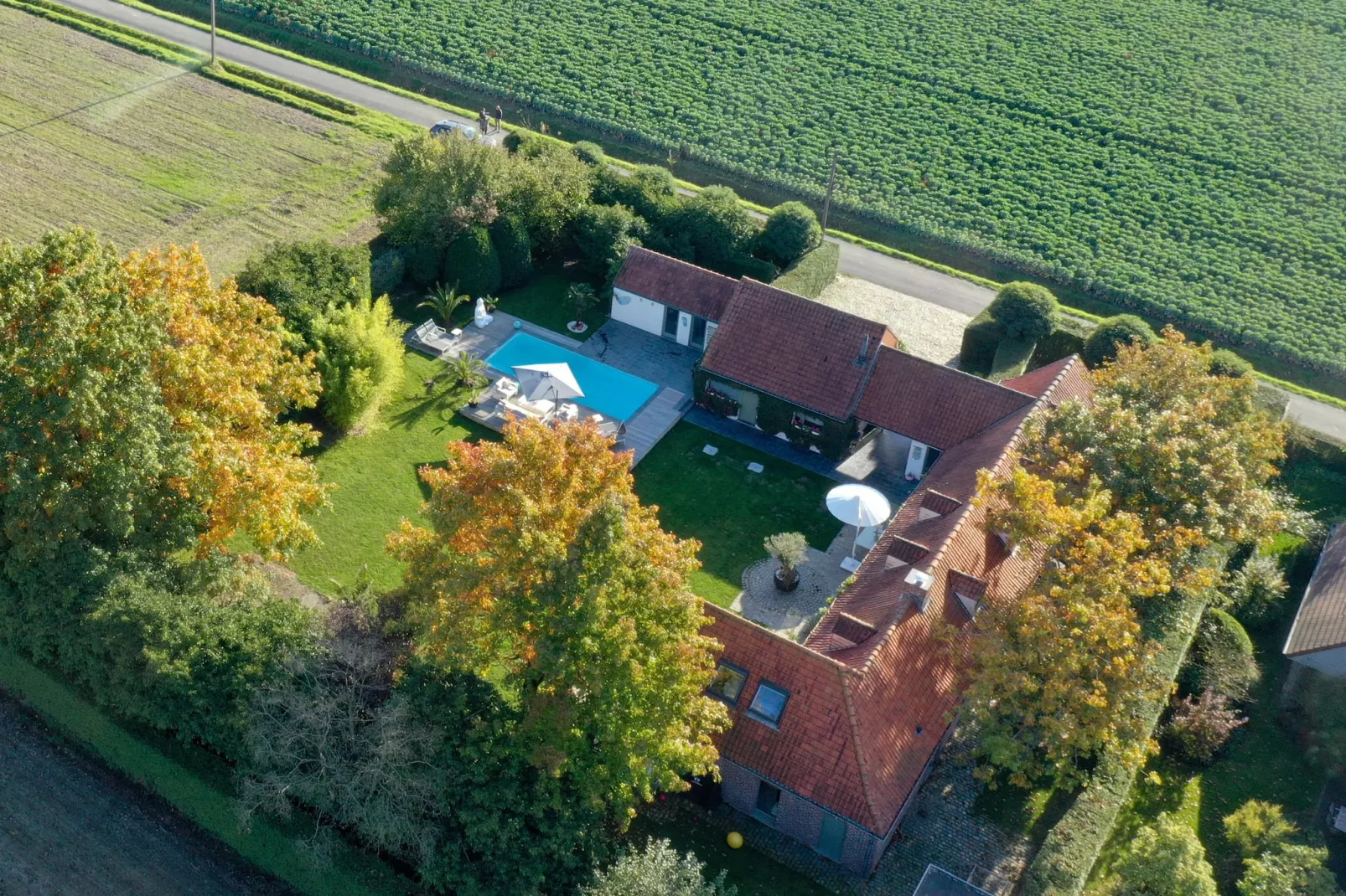 Casa Olivos-Exterior summer