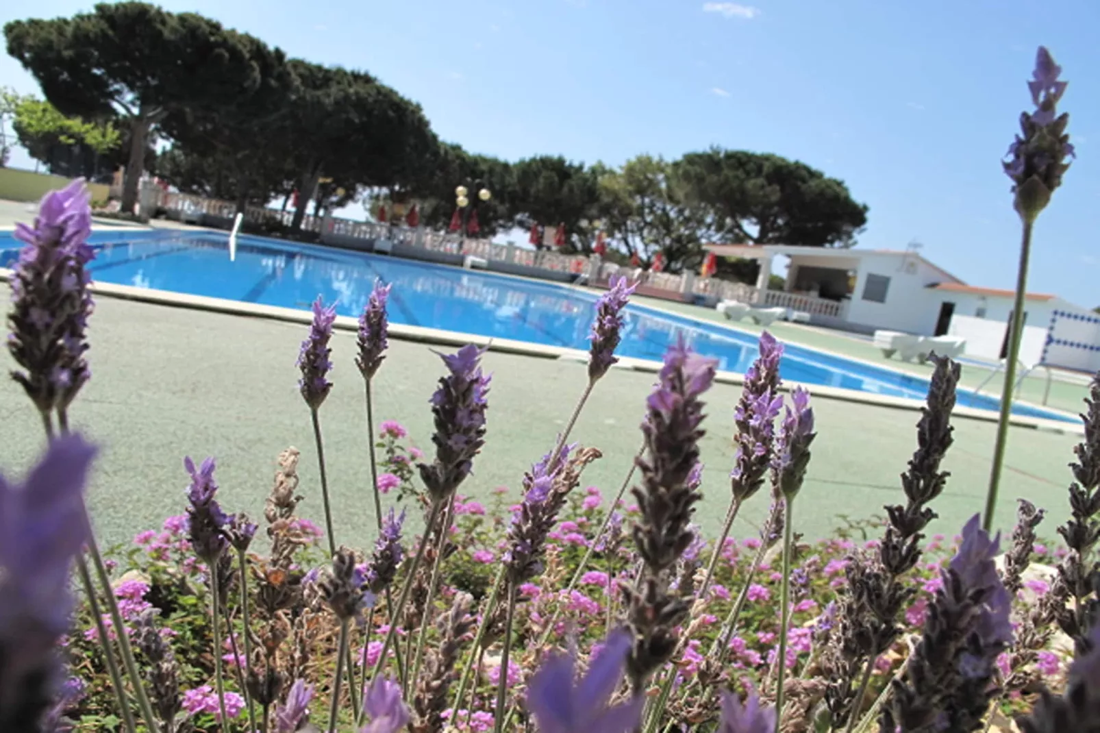 Camping Rocagrossa Mobile Home 6 people-Pool