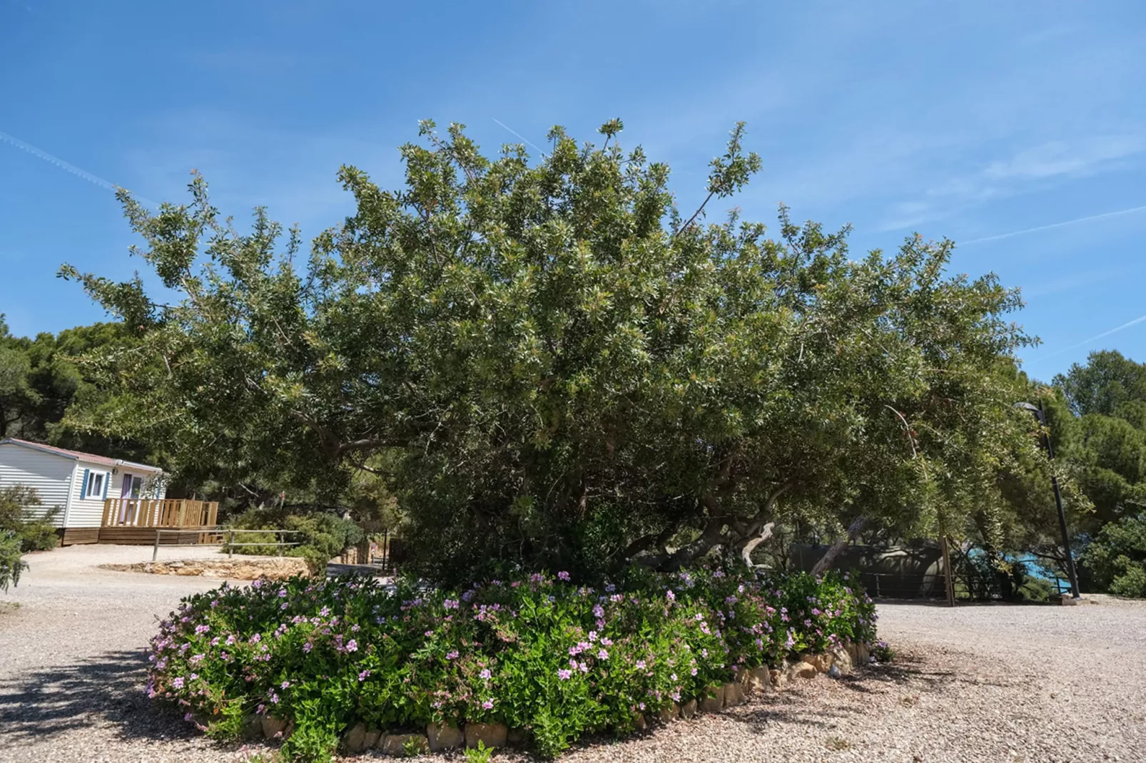 Camping Estival Torre de la Mora WOODEN BUNGALOW 5 PAX-Extérieur été