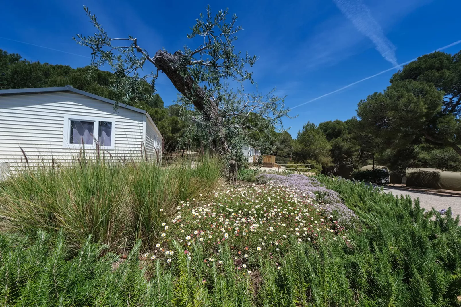 Camping Estival Torre de la Mora WOODEN BUNGALOW 5 PAX-Extérieur été
