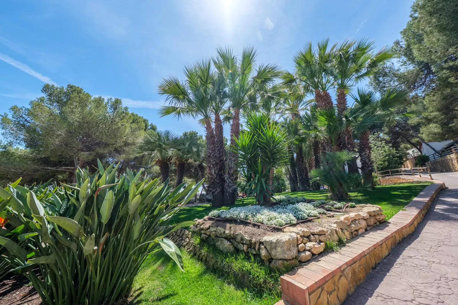 Camping Estival Torre de la Mora COCO TENT 4 Pax-Exterior summer