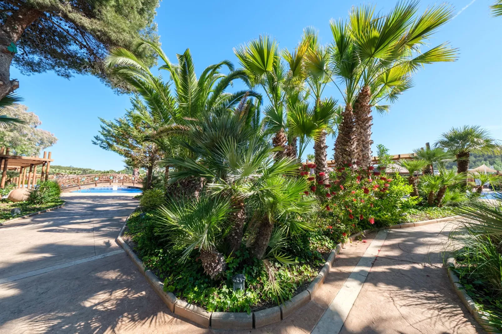 Camping Estival Torre de la Mora COCO TENT 4 Pax-Exterior summer