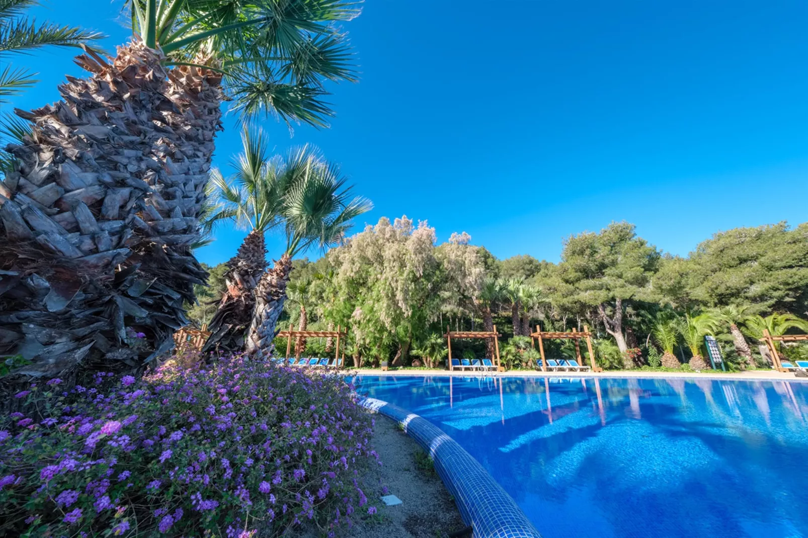 Camping Estival Torre de la Mora COCO TENT 4 Pax-Pool