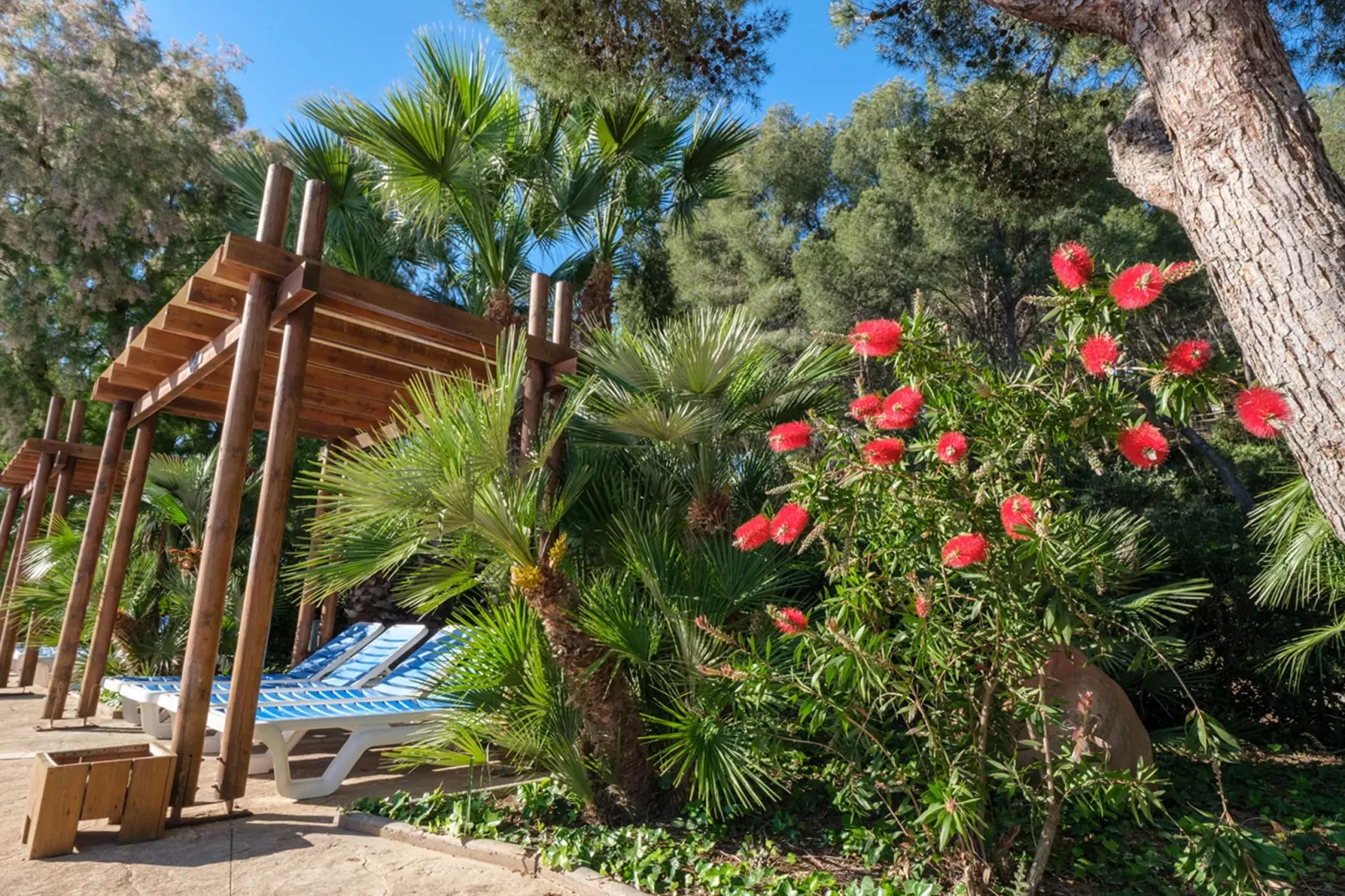 Camping Estival Torre de la Mora COCO TENT 4 Pax-Park facilities