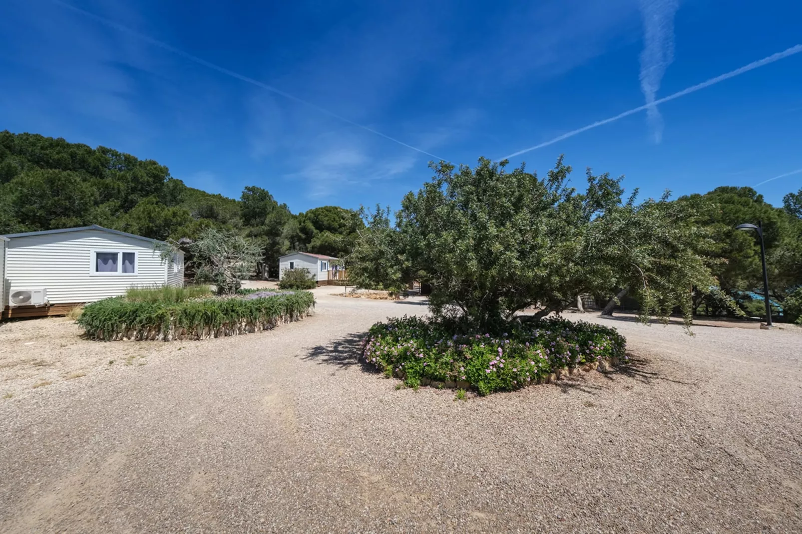 Camping Estival Torre de la Mora COCO TENT 4 Pax-Exterior summer