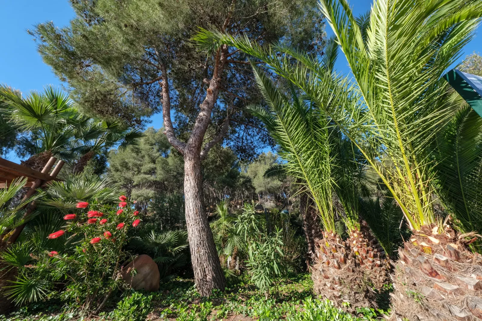 Camping Estival Torre de la Mora MH OHARA STANDARD 5pax-Park facilities