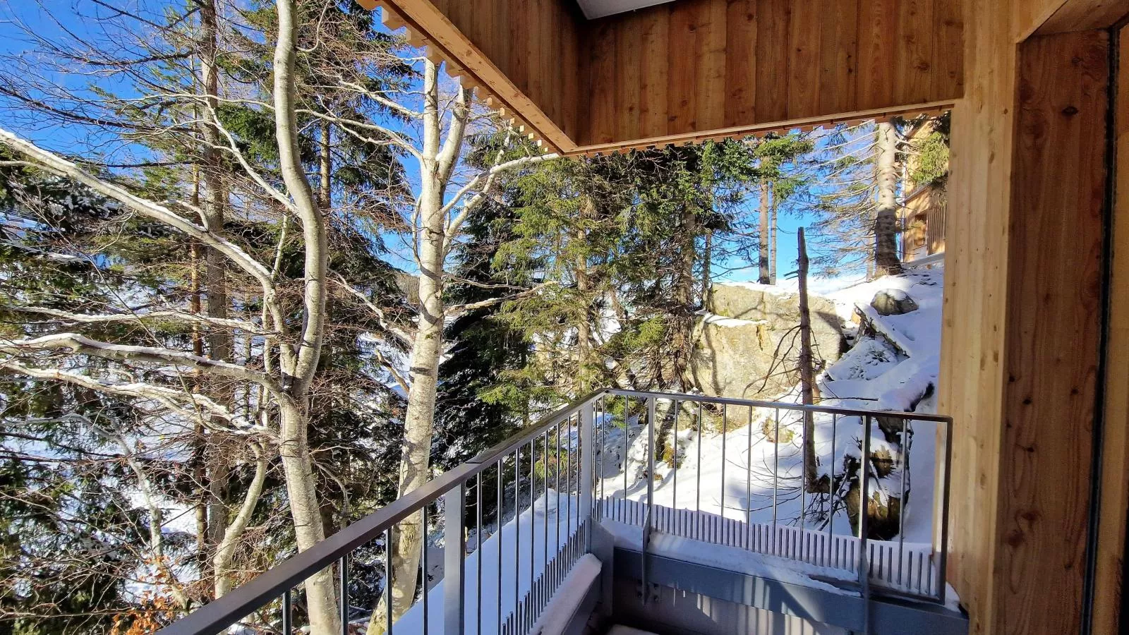 Zirbenlodge Sonnenalpe Nassfeld-Terrace balcony