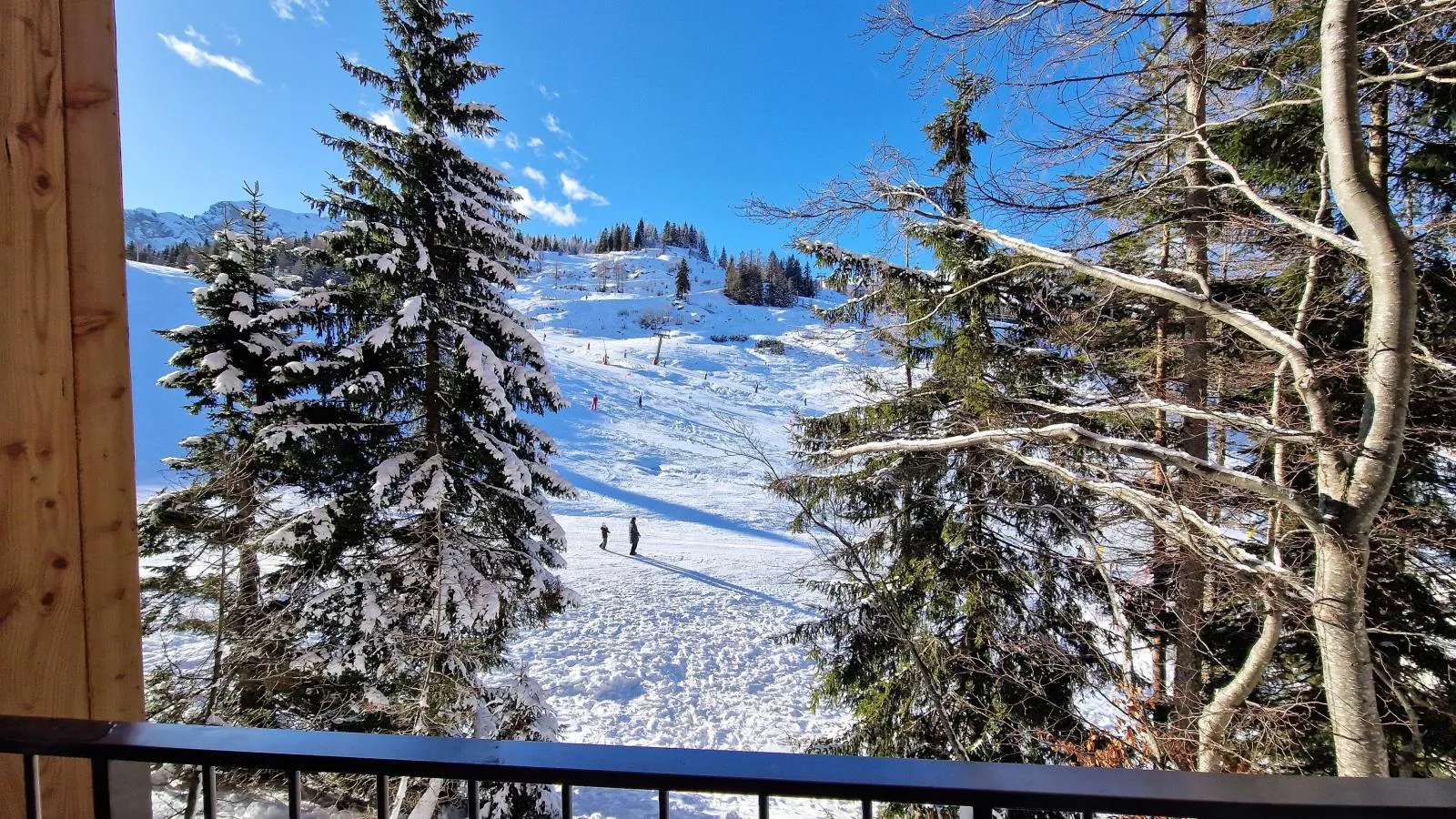 Zirbenlodge Sonnenalpe Nassfeld-Terrace balcony