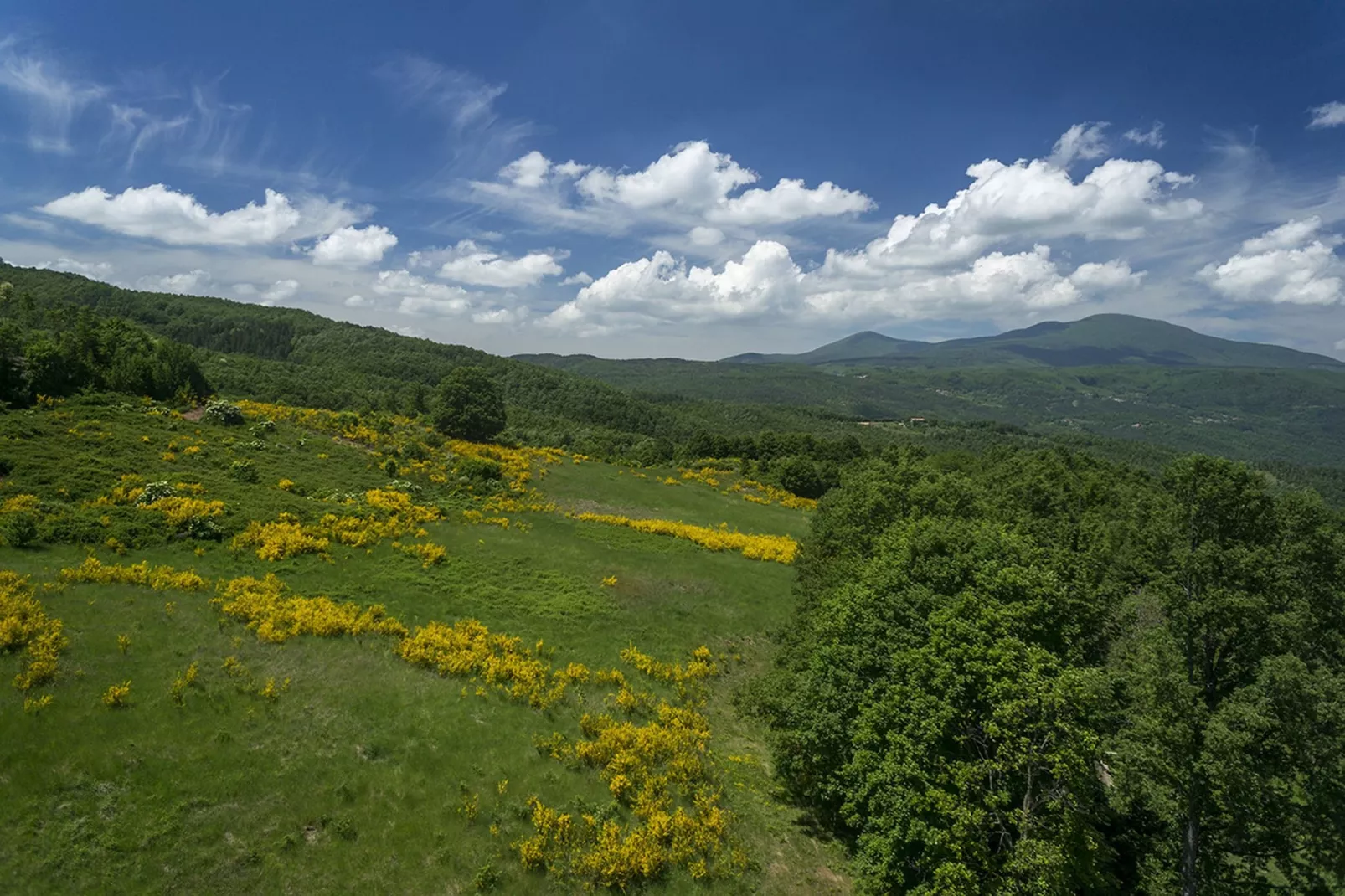 Roccone-View summer