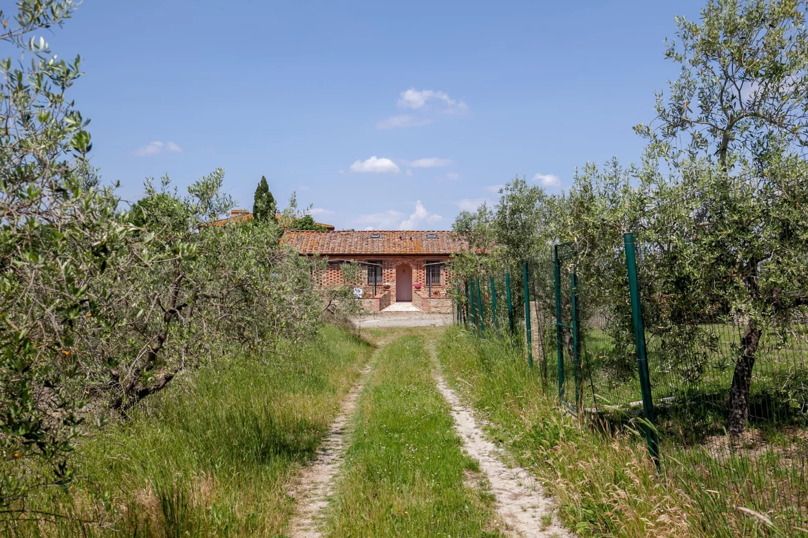 Bosco-Exterior summer