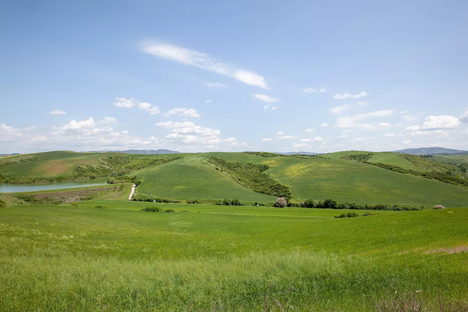 Bosco-Areas summer 1km