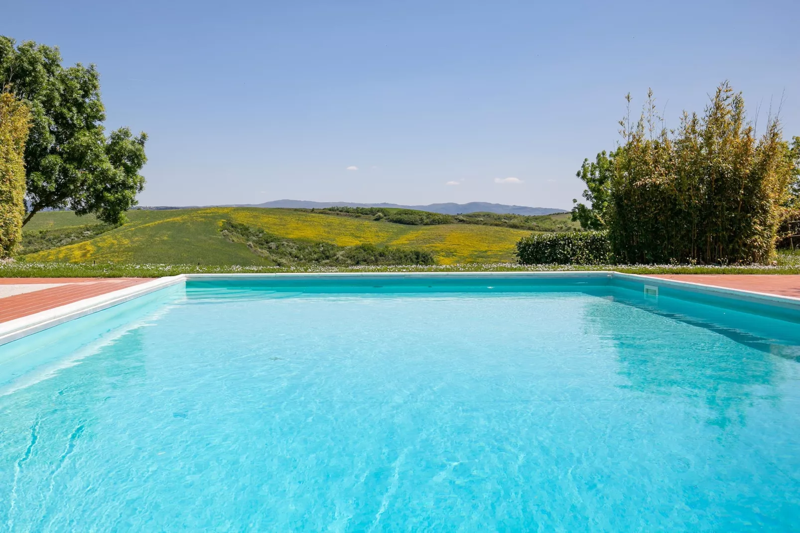 Lavanda-Pool