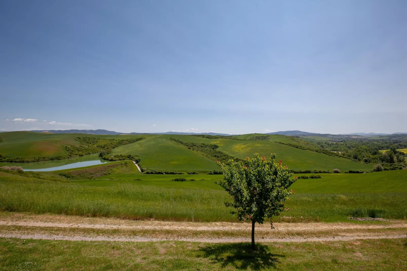 Lavanda-View summer