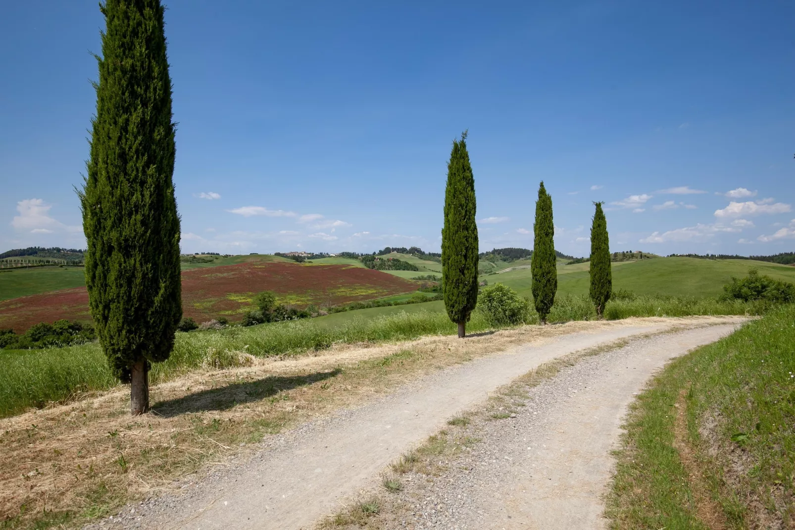 Lavanda-Areas summer 1km