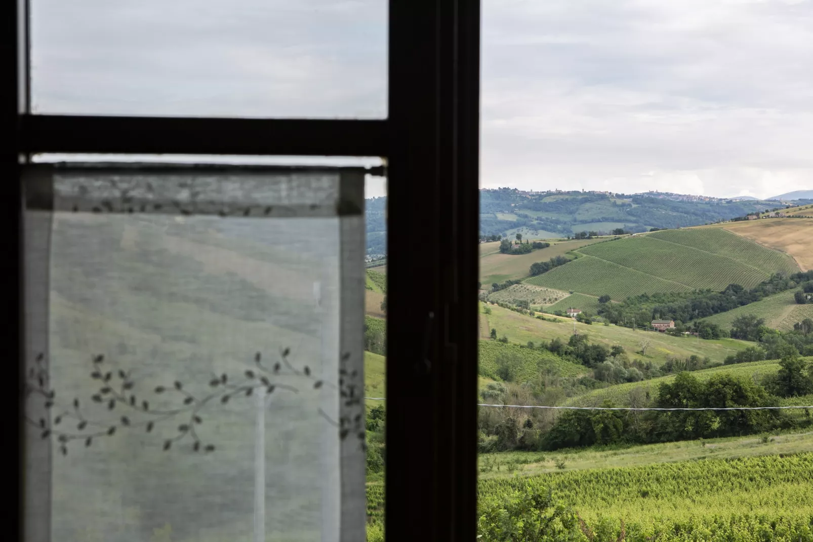 Moncaro-View summer