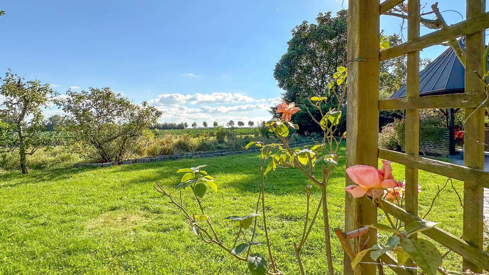 Rosegarden-View summer