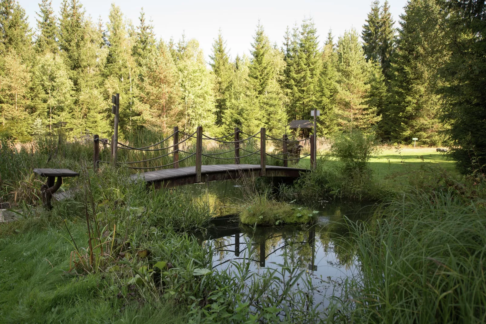 Im Erzgebirge-Zones été à 1 km