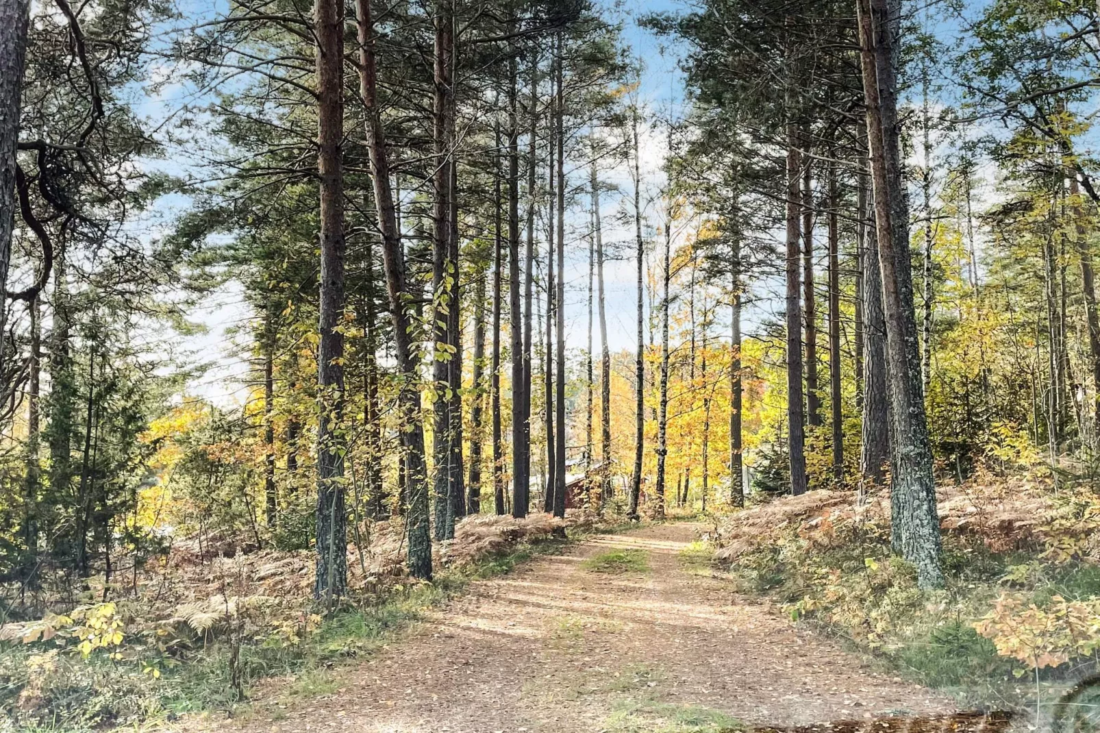 4 star holiday home in Fengersfors-Outdoor