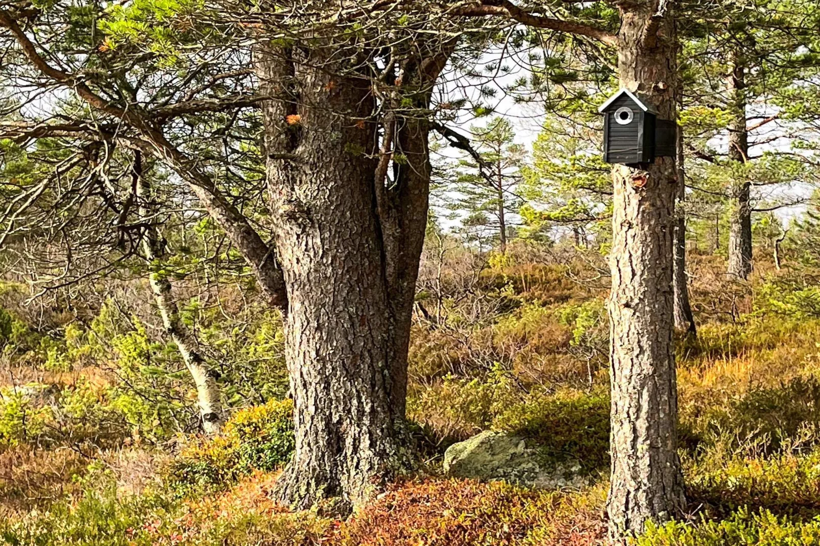 6 person holiday home in Tjørhom-Outdoor