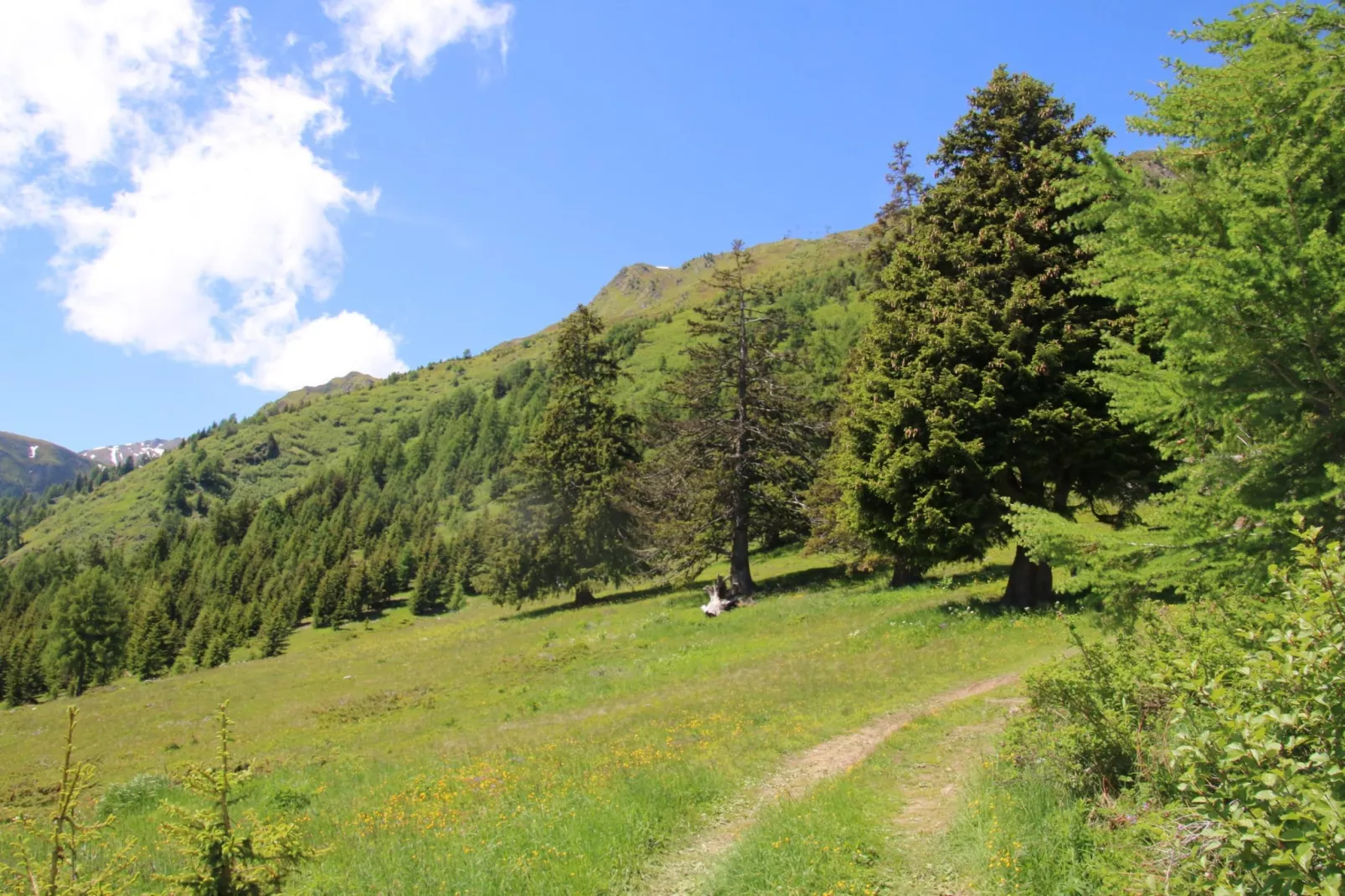Paradis Perdu SKI IN & QUIET chalet 14 personnes-Areas summer 5km