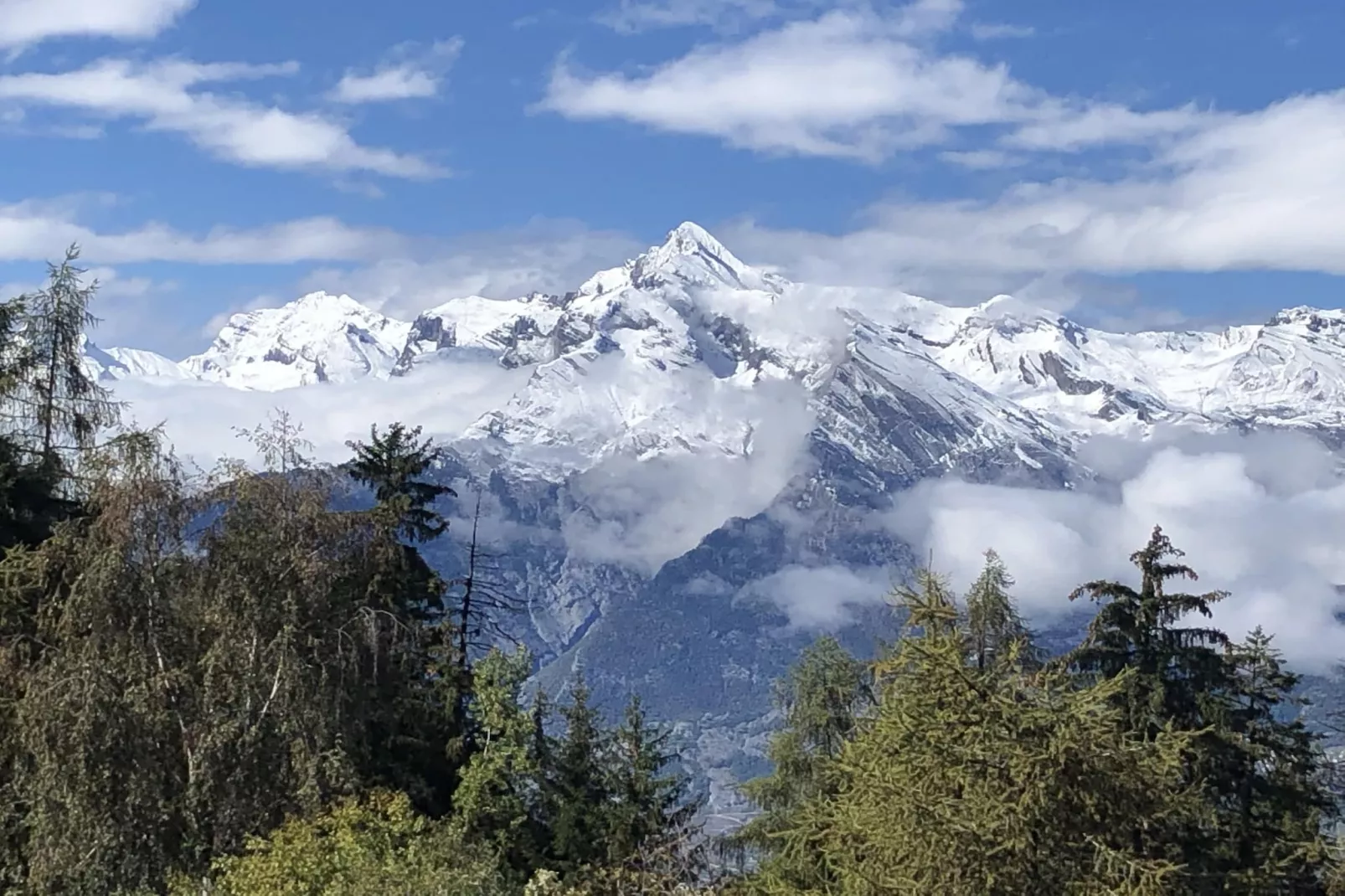 Mayens de l'Ours CZ 013 - MOUNTAIN apartment 8 per-View winter