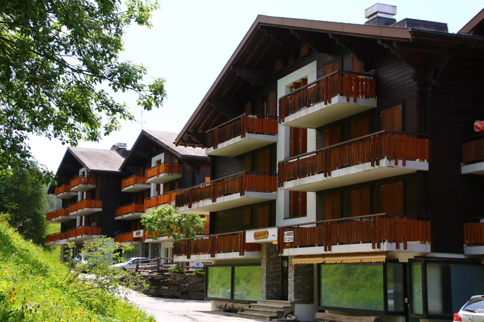 Mayens de l'Ours CZ 030 - MOUNTAIN apartment 6 per-Exterior summer