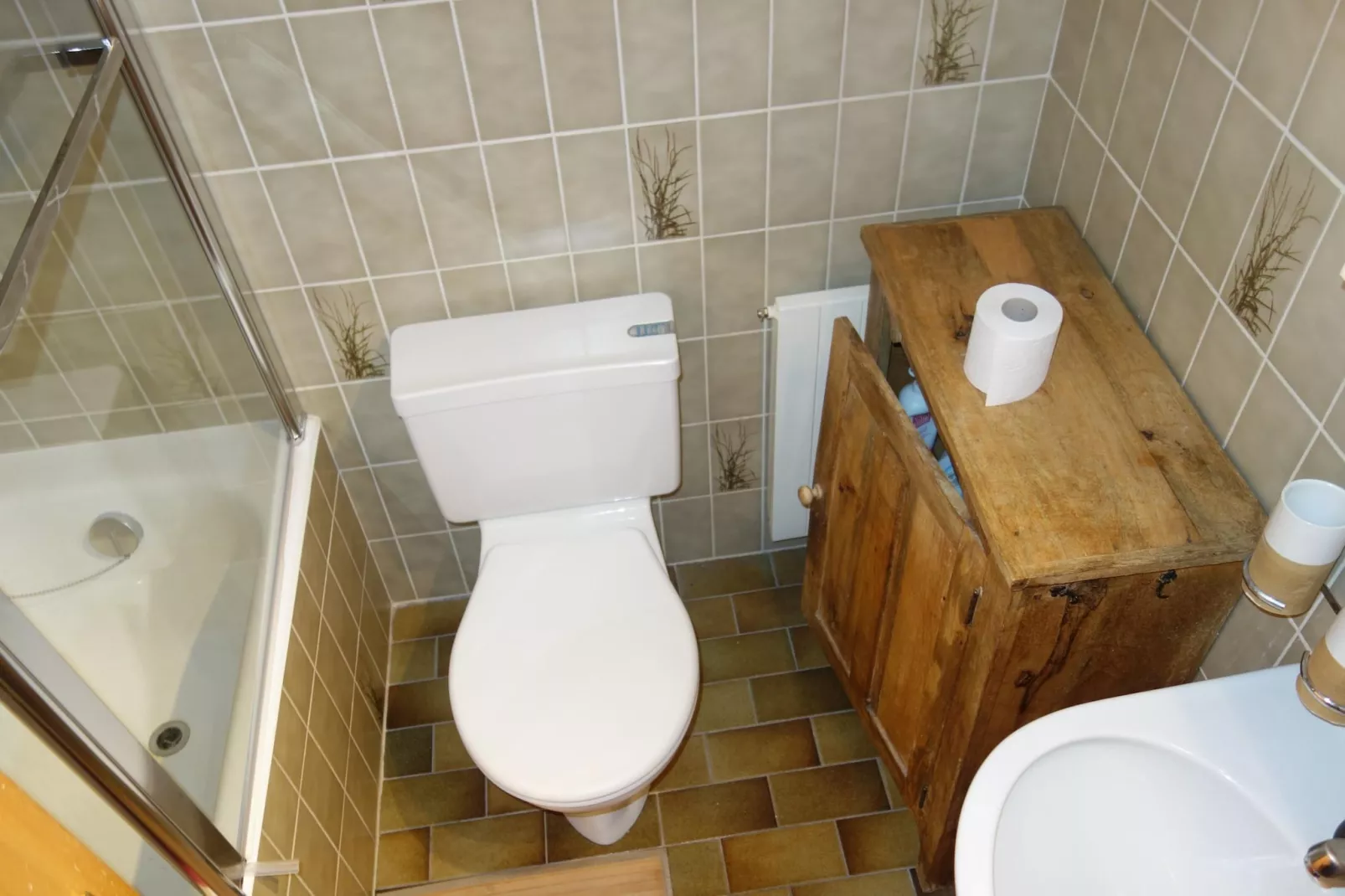 Mayens de l'Ours CZ 031 - MOUNTAIN apartment 6 per-Bathroom