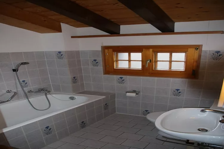 Mayens de l'Ours DZ 130 - MOUNTAIN apartment 8 per-Bathroom