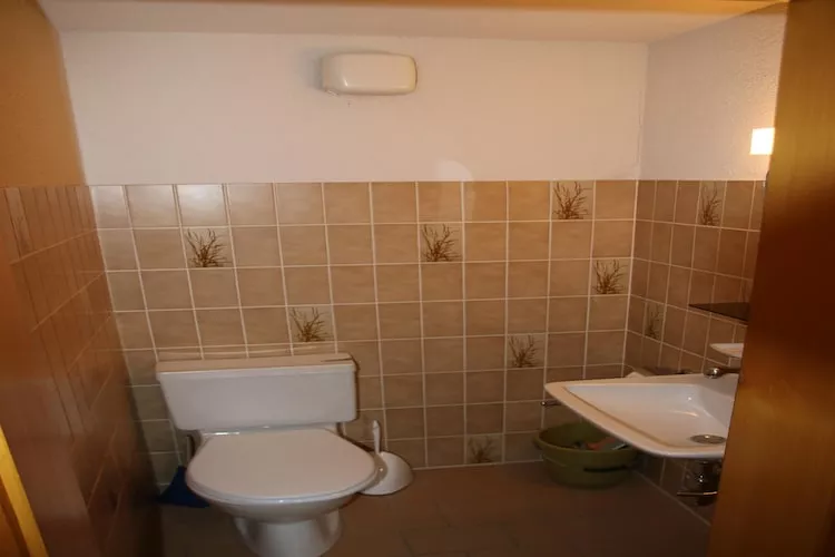 Mayens de l'Ours DZ 130 - MOUNTAIN apartment 8 per-Bathroom
