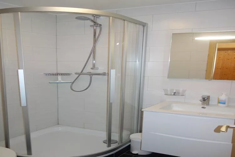 Gentianes G 001 - COSY apartment 6 pers-Bathroom