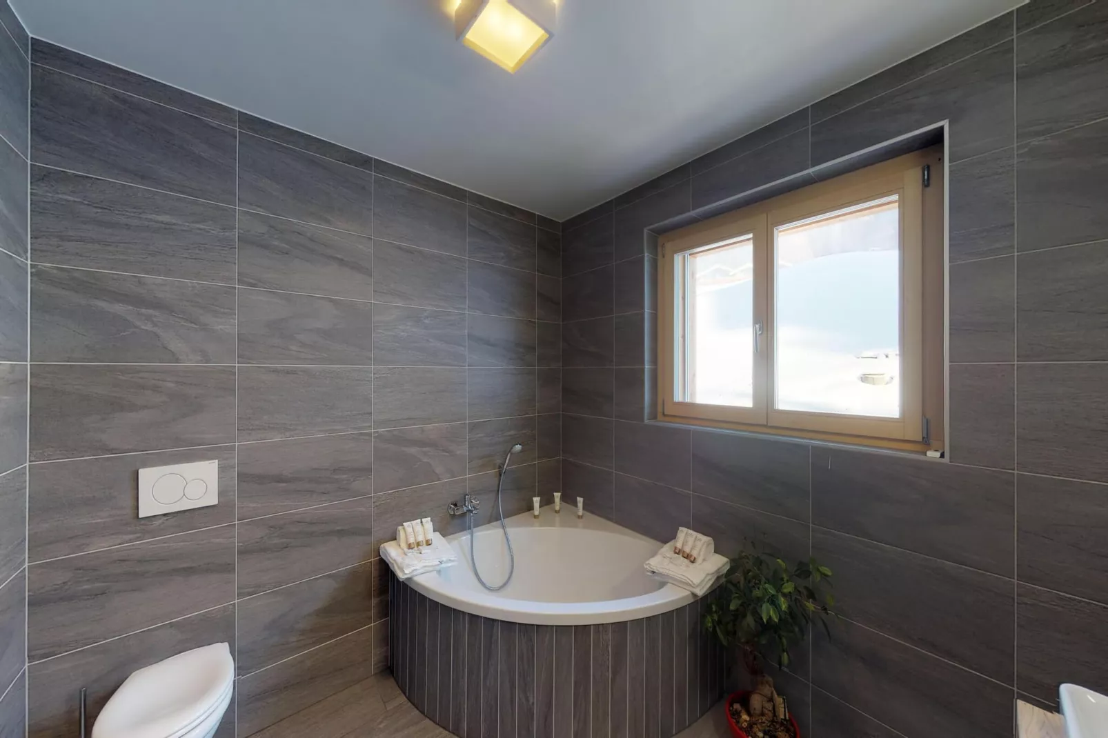 Les Mayens MB 022 - LUXURY apartment 14 pers-Salle de bain
