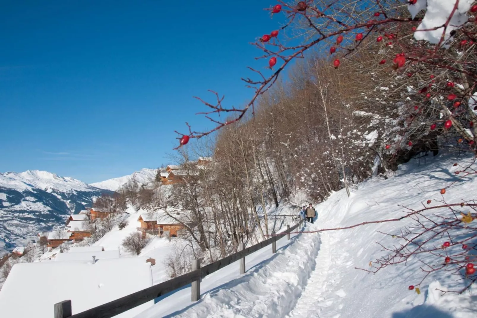 Greppons O 020 - MOUNTAIN apartment 5 pers-Area winter 1km