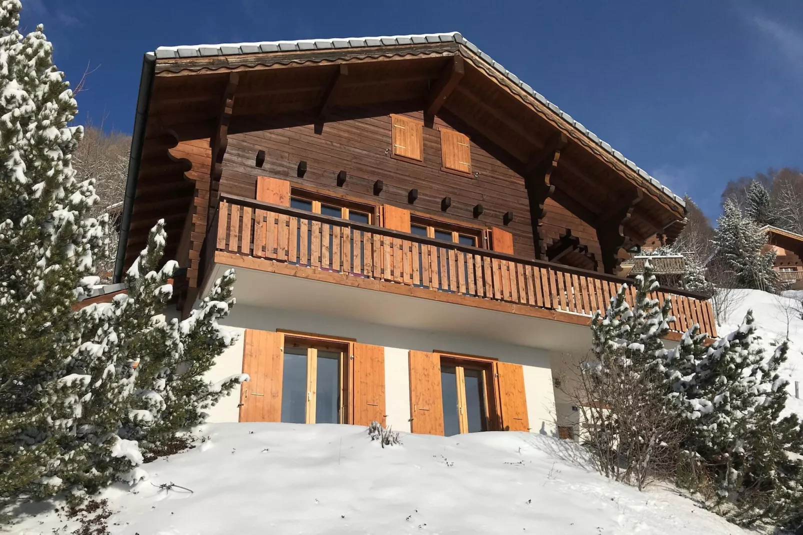 Dorril SUNNY & QUIET chalet 10 pers-Exterior winter