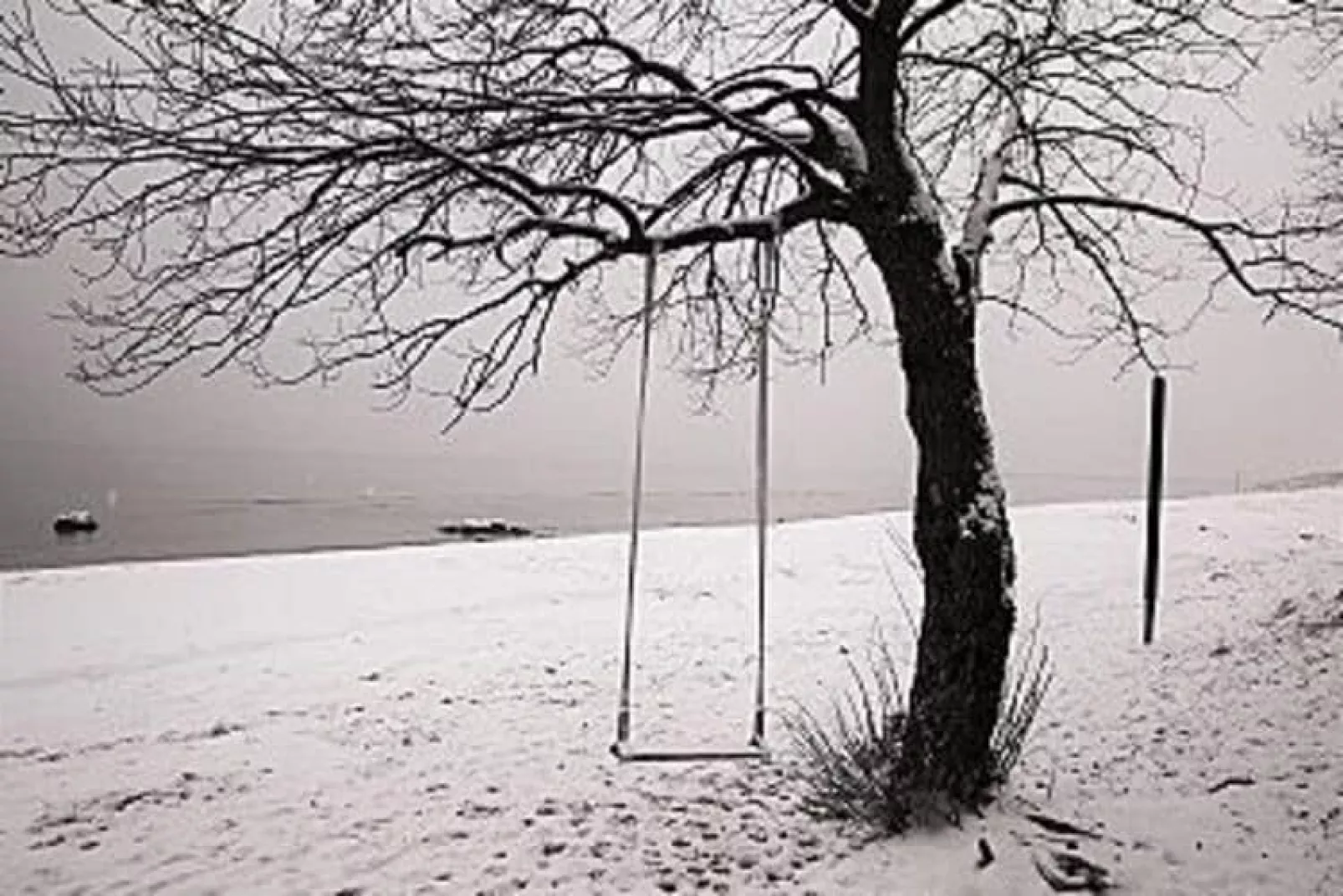 Ferienwohnung Rügenblick-Area winter 5km