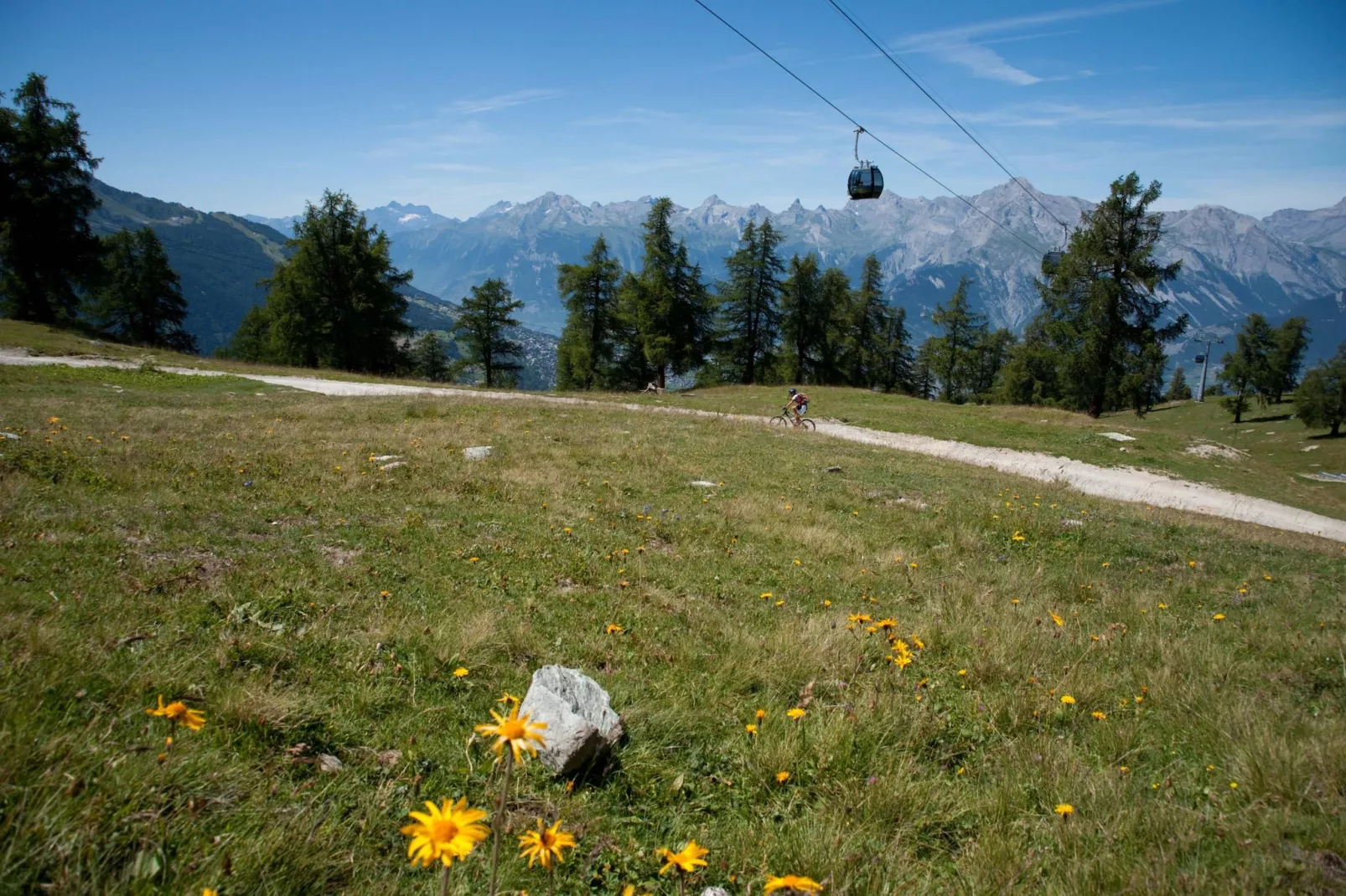 Magrappé M 647 - SKI LIFT apartment 5 pers-Areas summer 1km