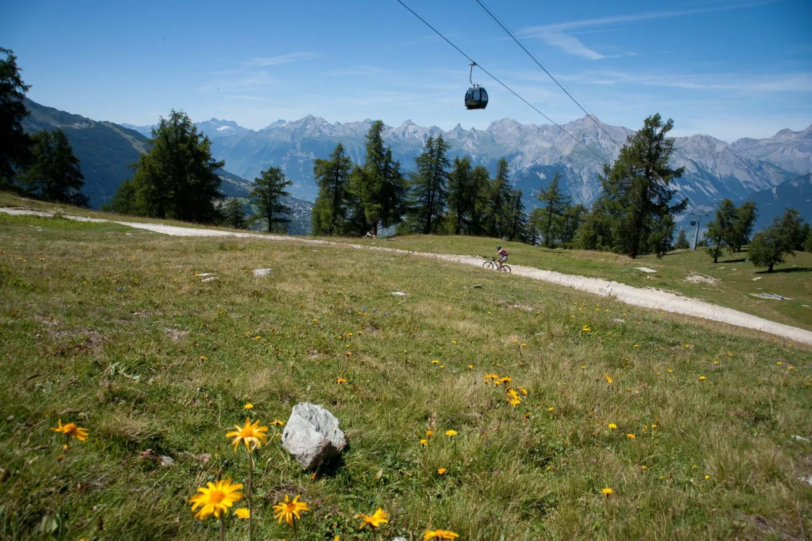 Tschoueilles 013 MOUNTAIN & VIEW - chalet 12 pers-Aussicht Sommer