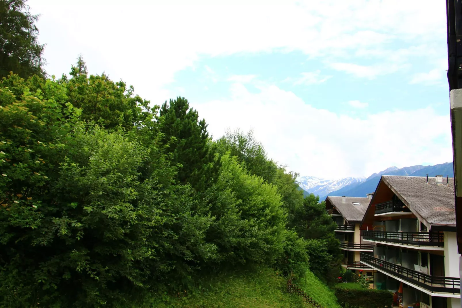 Diablerets D 048 - MOUNTAIN apartment 4 pers-Areas summer 1km