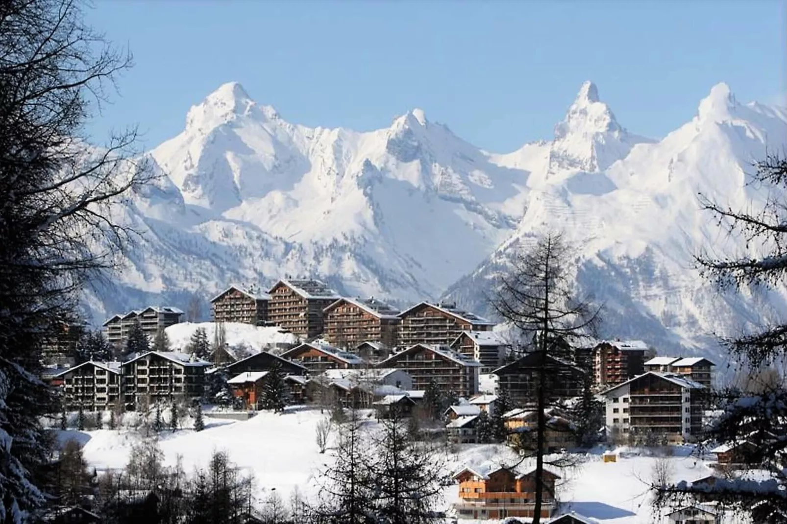 viewwinter