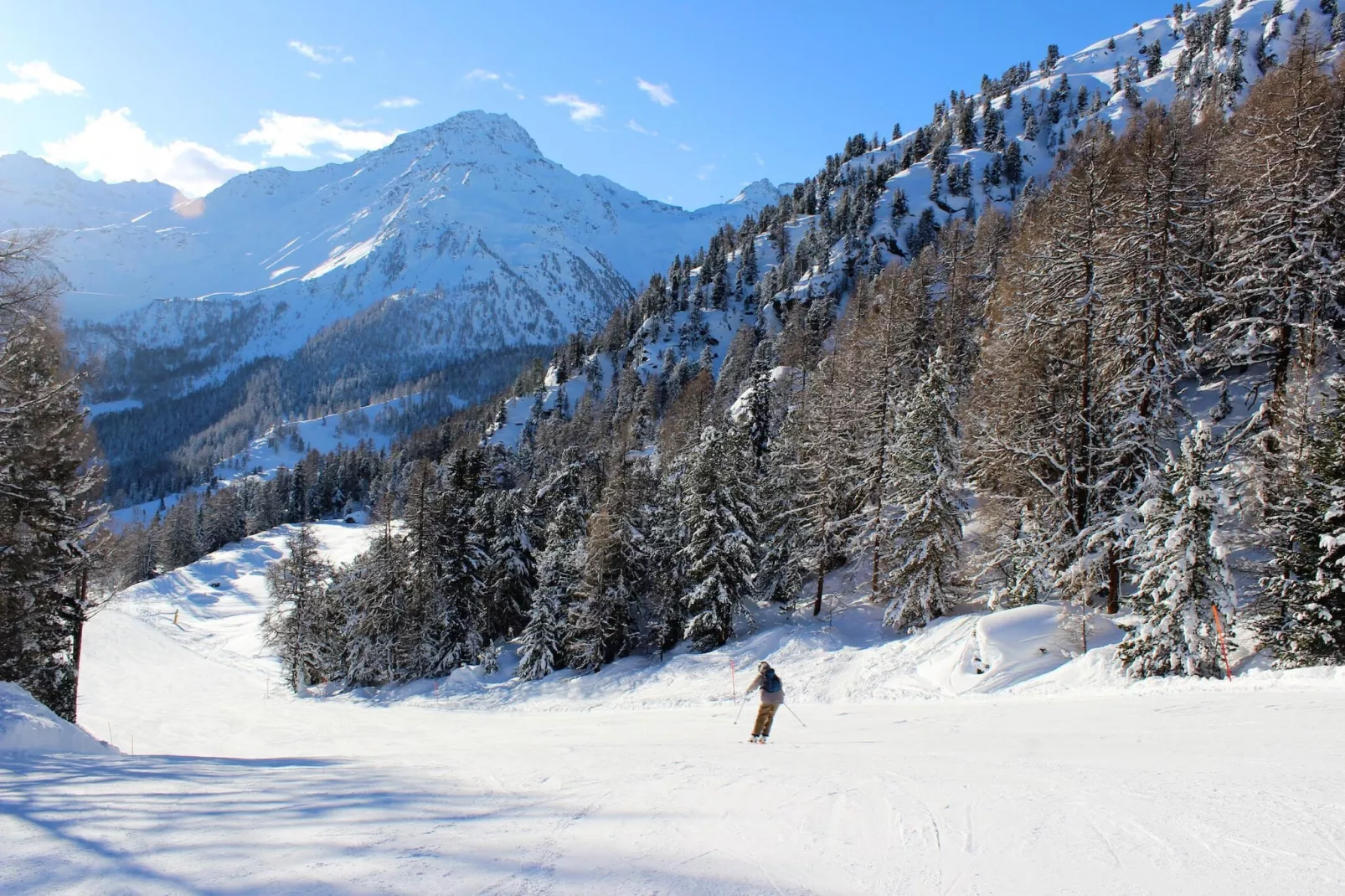 Appaloosa - FABULOUS & LUXE chalet 12 pers-Gebiet Winter 5 km