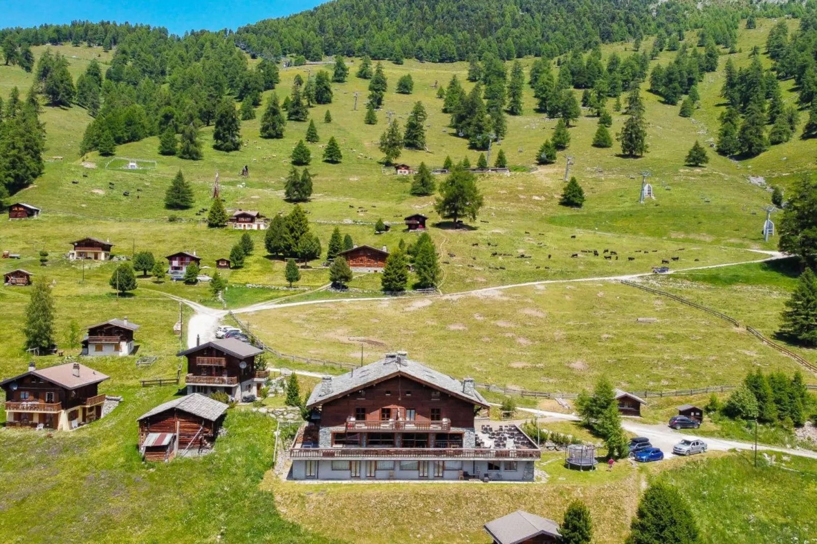 Des Alpes 003 - ON THE SLOPES apartment 10 pers-Areas summer 5km