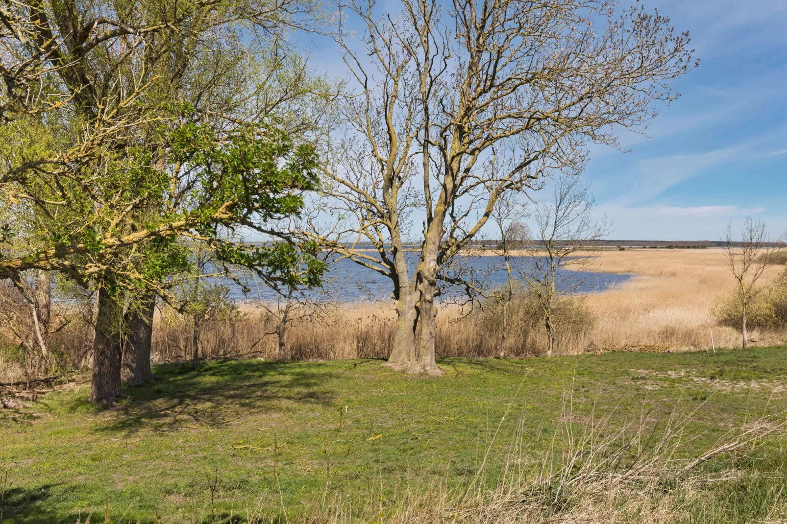 Ferienwohnung Gingst-Areas summer 1km
